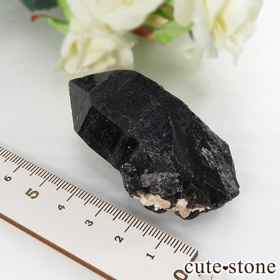 ʻ ꥪ(徽)Υ󥰥ݥȡʸС65gμ̿2 cute stone