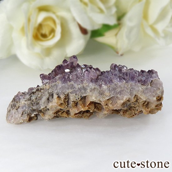ȥ륳 ᥸ȤΥ饹 31gμ̿0 cute stone