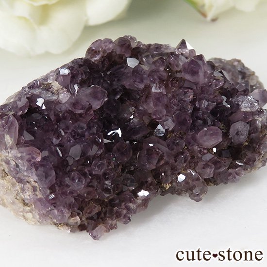 ȥ륳 ᥸ȤΥ饹 31gμ̿2 cute stone