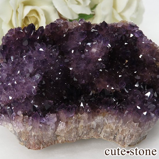 ȥ륳 ᥸ȤΥ饹 103gμ̿2 cute stone