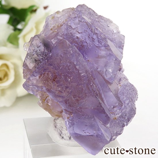  󥴥뼫軺 ѡץե饤ȤȬη뾽 76gμ̿0 cute stone
