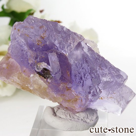  󥴥뼫軺 ѡץե饤ȤȬη뾽 76gμ̿1 cute stone