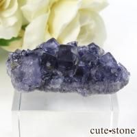  Larkin's Quarry ֥롼ե饤ȤΥ饹ʸС9.8gβ