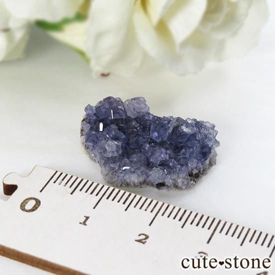  Larkin's Quarry ֥롼ե饤ȤΥ饹ʸС4.7gμ̿2 cute stone