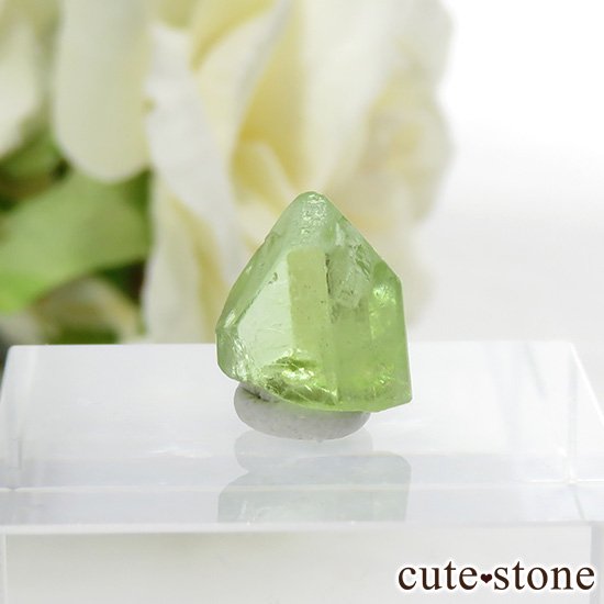 ѥ ڥɥåȤη뾽ʸС4.5ctμ̿0 cute stone