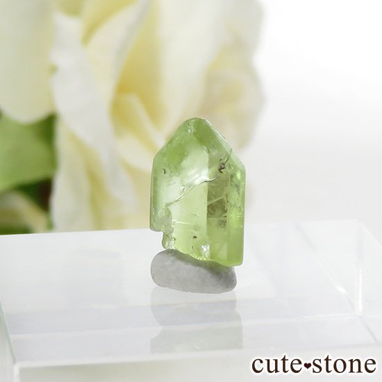 ѥ ڥɥåȤη뾽ʸС3.3ctμ̿0 cute stone