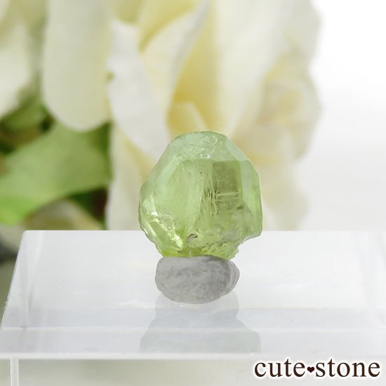 ѥ ڥɥåȤη뾽ʸС5ctμ̿0 cute stone