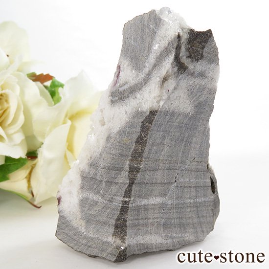 äʥ󥷥˥ʥСդ 76.2gμ̿2 cute stone