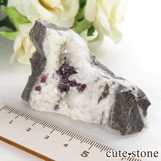 äʥ󥷥˥ʥСդ 76.2gμ̿3 cute stone