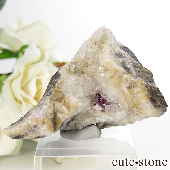 äʥ󥷥˥ʥСդ 27.7gμ̿1 cute stone