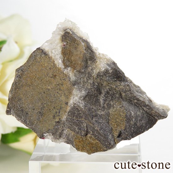 äʥ󥷥˥ʥСդ 27.7gμ̿2 cute stone