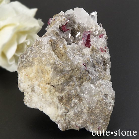 ʻ äʥ󥷥˥ʥСդ 83gμ̿4 cute stone