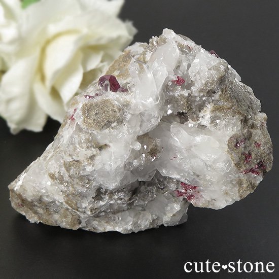 ʻ äʥ󥷥˥ʥСդ 83gμ̿5 cute stone