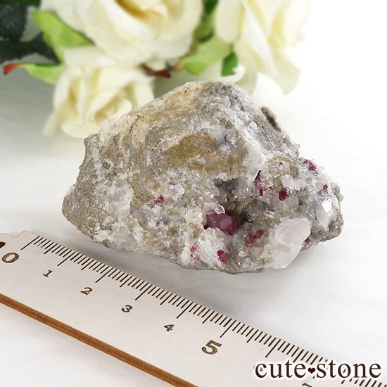 ʻ äʥ󥷥˥ʥСդ 83gμ̿6 cute stone