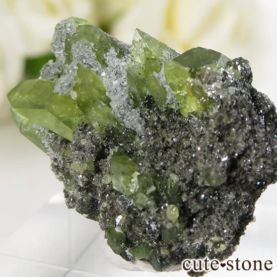 ѥ ɥ եդ 6.5gμ̿3 cute stone