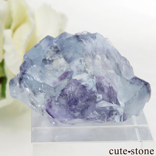 䥪󥷥 ֥롼ե饤Ȥη뾽 26gμ̿0 cute stone