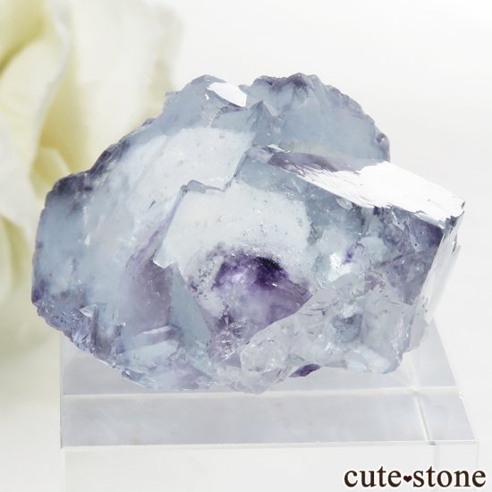 䥪󥷥 ֥롼ե饤Ȥη뾽 26gμ̿1 cute stone