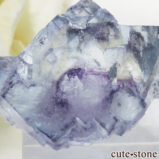䥪󥷥 ֥롼ե饤Ȥη뾽 26gμ̿2 cute stone