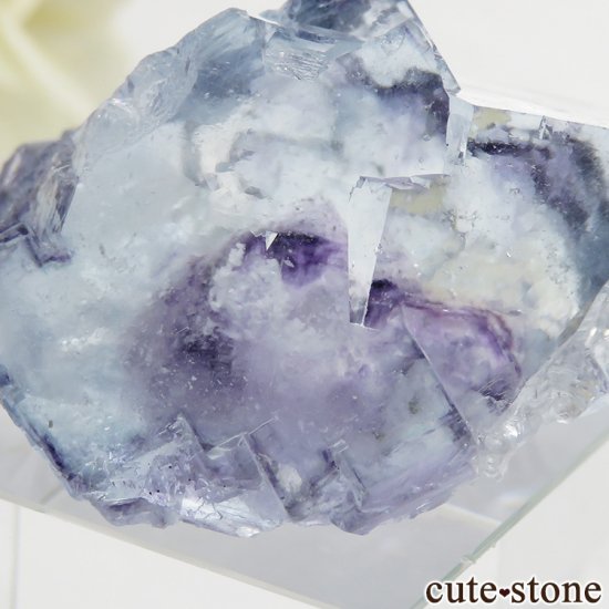 䥪󥷥 ֥롼ե饤Ȥη뾽 26gμ̿3 cute stone
