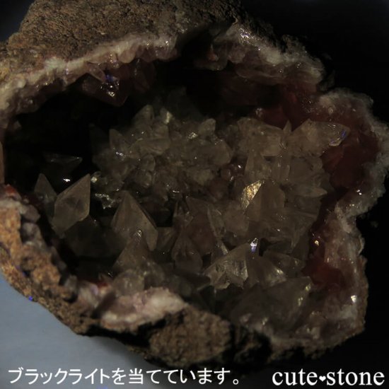 를 륵ȡԥ󥯥᥸ȤθСʥ饹157gμ̿5 cute stone