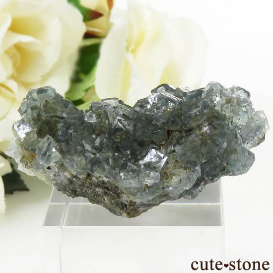 ᥭ ֥롼꡼ե饤Ȥη뾽ʸС 27gμ̿0 cute stone