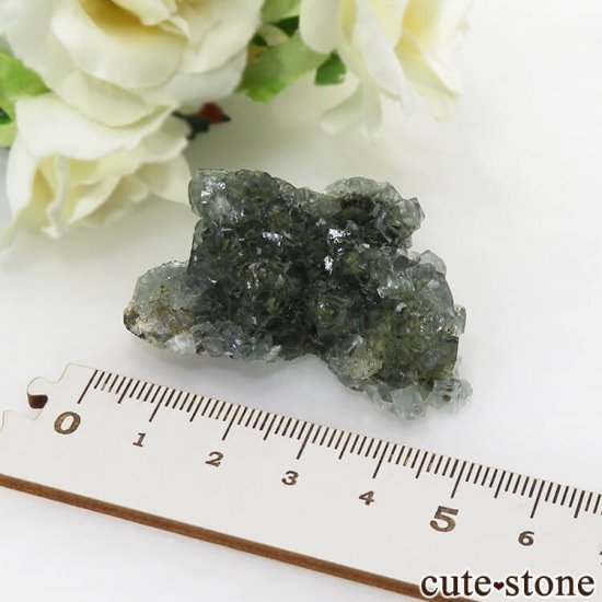 ᥭ ֥롼꡼ե饤Ȥη뾽ʸС 27gμ̿4 cute stone