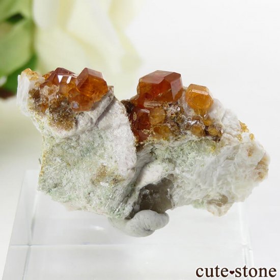 ʡʻ ڥƥ󥬡ͥåȤθ 5.7gμ̿0 cute stone