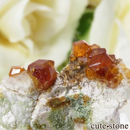 ʡʻ ڥƥ󥬡ͥåȤθ 5.7gμ̿1 cute stone