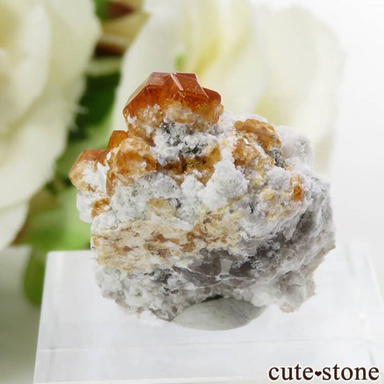 ʡʻ ڥƥ󥬡ͥåȤθ 6.9gμ̿0 cute stone