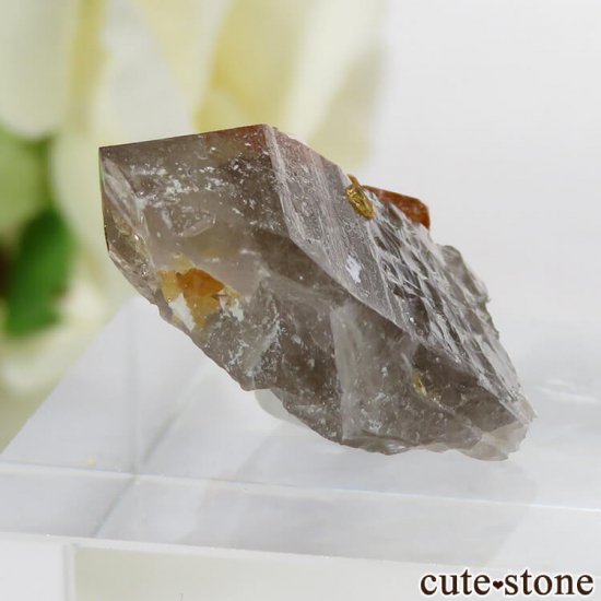 ʡʻ ⡼ġڥƥ󥬡ͥåȤθ 3.9gμ̿0 cute stone