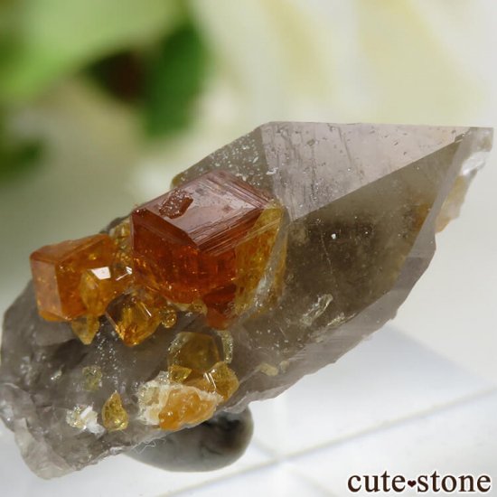 ʡʻ ⡼ġڥƥ󥬡ͥåȤθ 3.9gμ̿1 cute stone