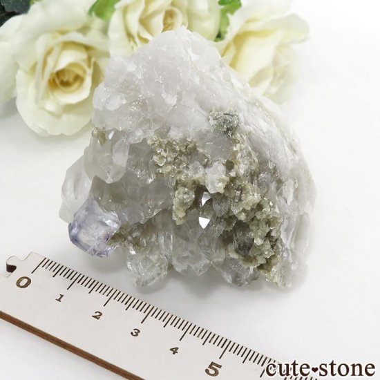 䥪󥷥 ֥롼ե饤ȡ徽ζɸ 154gμ̿4 cute stone