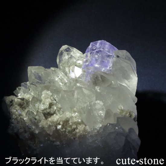 䥪󥷥 ֥롼ե饤ȡ徽ζɸ 154gμ̿5 cute stone
