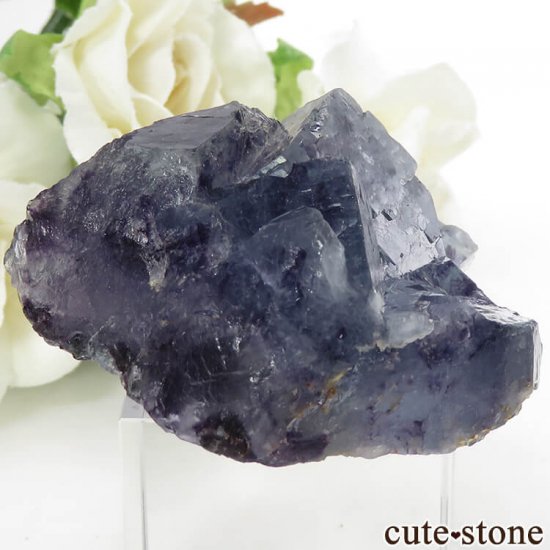  󥴥뻺 ֥롼ե饤Ȥθ 57.4gμ̿0 cute stone