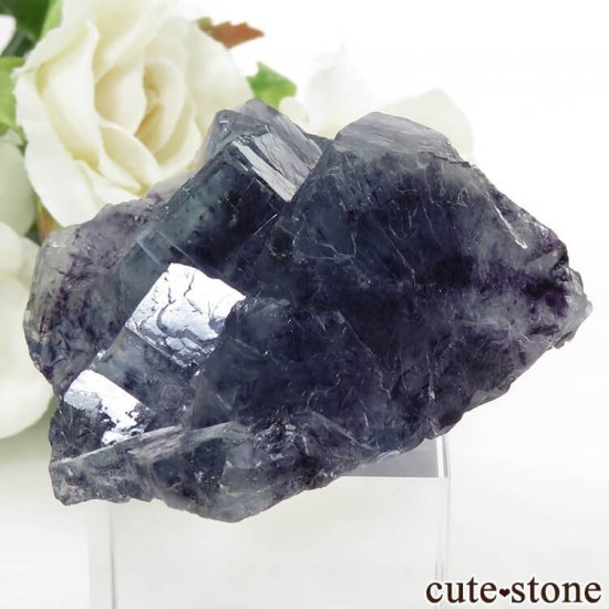  󥴥뻺 ֥롼ե饤Ȥθ 57.4gμ̿1 cute stone