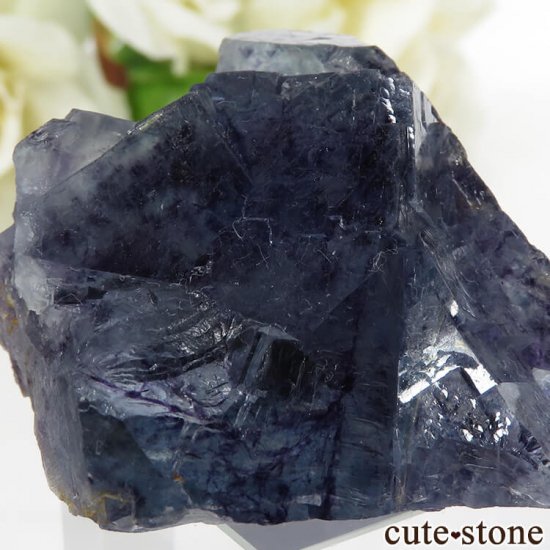  󥴥뻺 ֥롼ե饤Ȥθ 57.4gμ̿2 cute stone