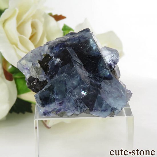  󥴥뻺 ֥롼ե饤Ȥθ 37.2gμ̿0 cute stone