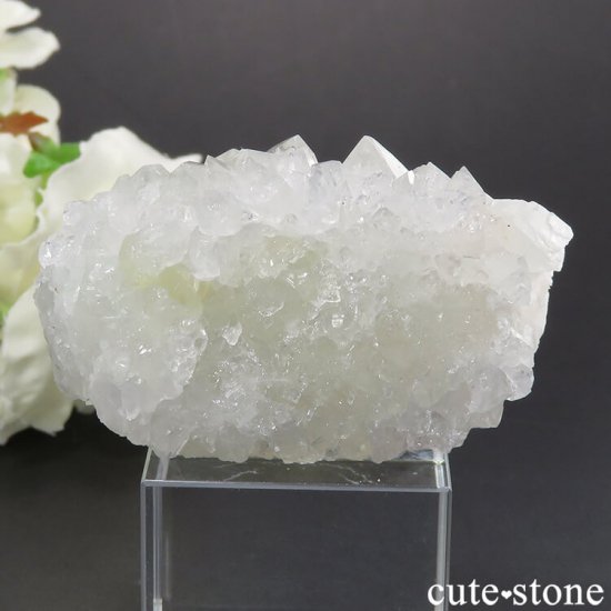 Υե饤Ȥθ ɻ 55gʹʪɸܡˤμ̿0 cute stone