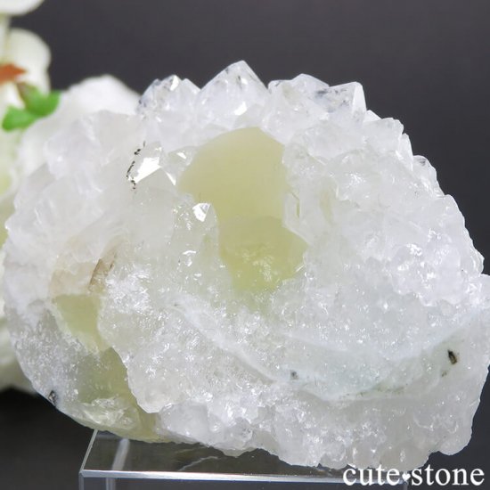 Υե饤Ȥθ ɻ 55gʹʪɸܡˤμ̿1 cute stone