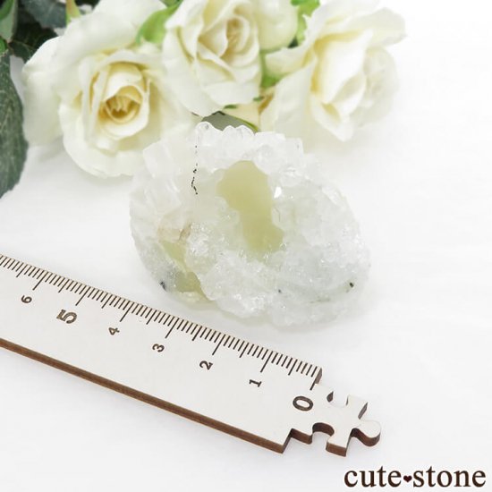 Υե饤Ȥθ ɻ 55gʹʪɸܡˤμ̿2 cute stone