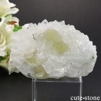 Υե饤Ȥθ ɻ 55gʹʪɸܡˤβ