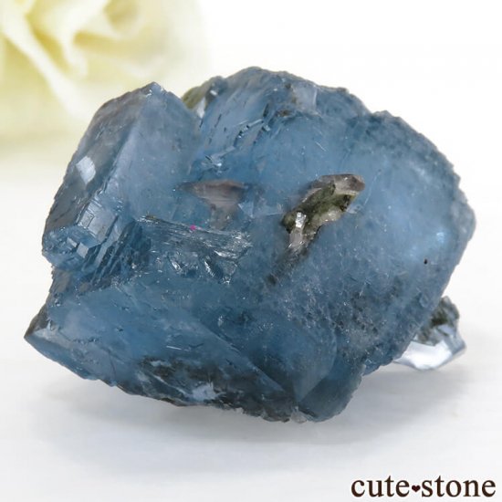  ʻ ֥롼ե饤Ȥθ 35gμ̿0 cute stone