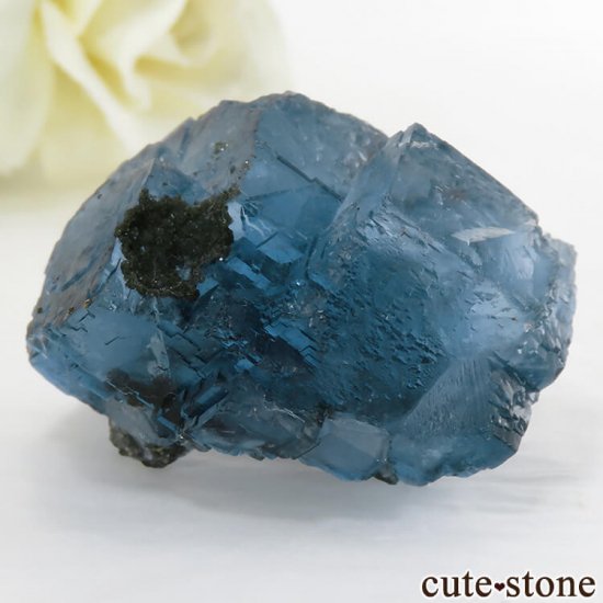  ʻ ֥롼ե饤Ȥθ 35gμ̿1 cute stone