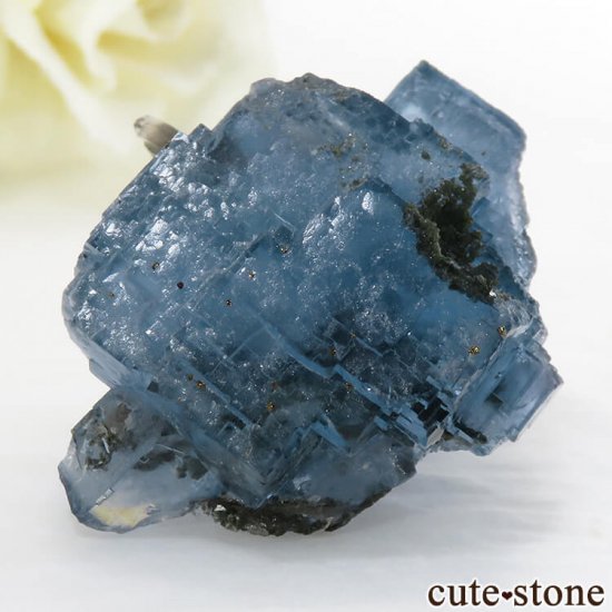  ʻ ֥롼ե饤Ȥθ 35gμ̿2 cute stone