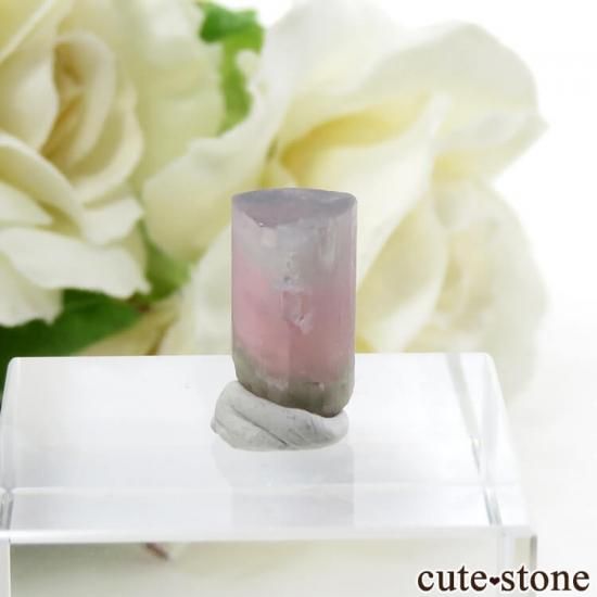 アフガニスタン産 トリカラートルマリンの結晶（原石）5.2ct - cute stone