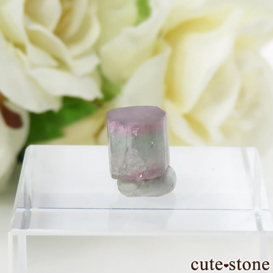 ե˥ Х顼ȥޥη뾽ʸС4.2ctμ̿0 cute stone