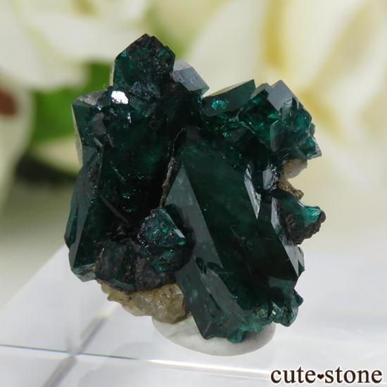 ե󻺤Υץơդ뾽ʸС2.9gμ̿1 cute stone