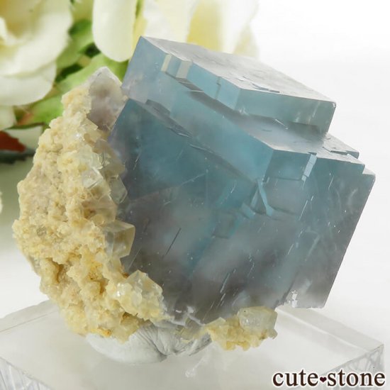 ꥢ ꥢʥ꡼˻ ֥롼ե饤Ȥդ뾽ʸС 57gμ̿0 cute stone
