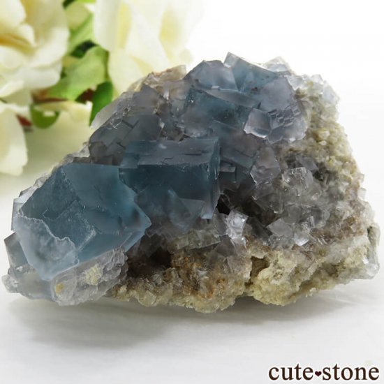 ꥢ ꥢʥ꡼˻ ֥롼ե饤Ȥդ뾽ʸС 132gμ̿0 cute stone