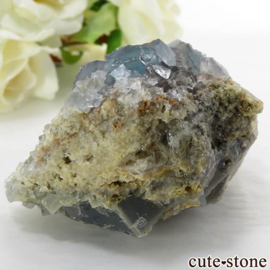 ꥢ ꥢʥ꡼˻ ֥롼ե饤Ȥդ뾽ʸС 132gμ̿2 cute stone